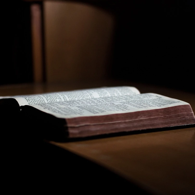 An open Bible