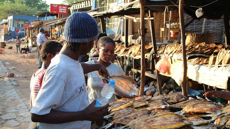 Luangwa Market